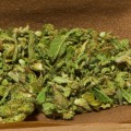 What do hemp blunts do?