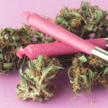 What's the difference between hemp and blunt?