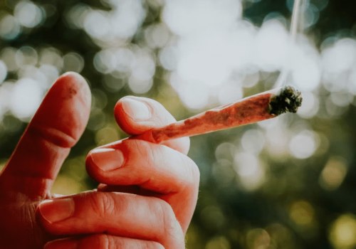 What is the best way to store your rolled hemp blunts for later use?
