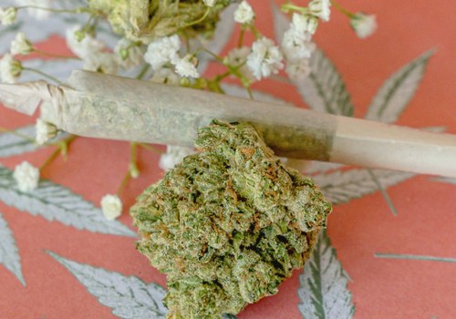 Can you use other herbs in addition to hemp when rolling a blunt?